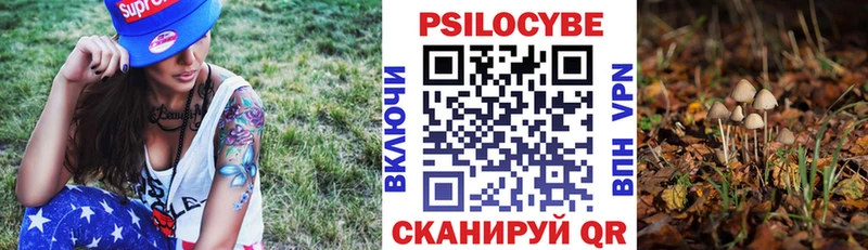 Псилоцибиновые грибы Psilocybe  Хотьково 